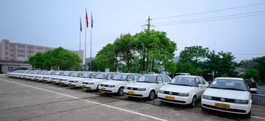 棗莊1月駕校培訓(xùn)質(zhì)量排名出爐，速培學(xué)車實(shí)力如何？